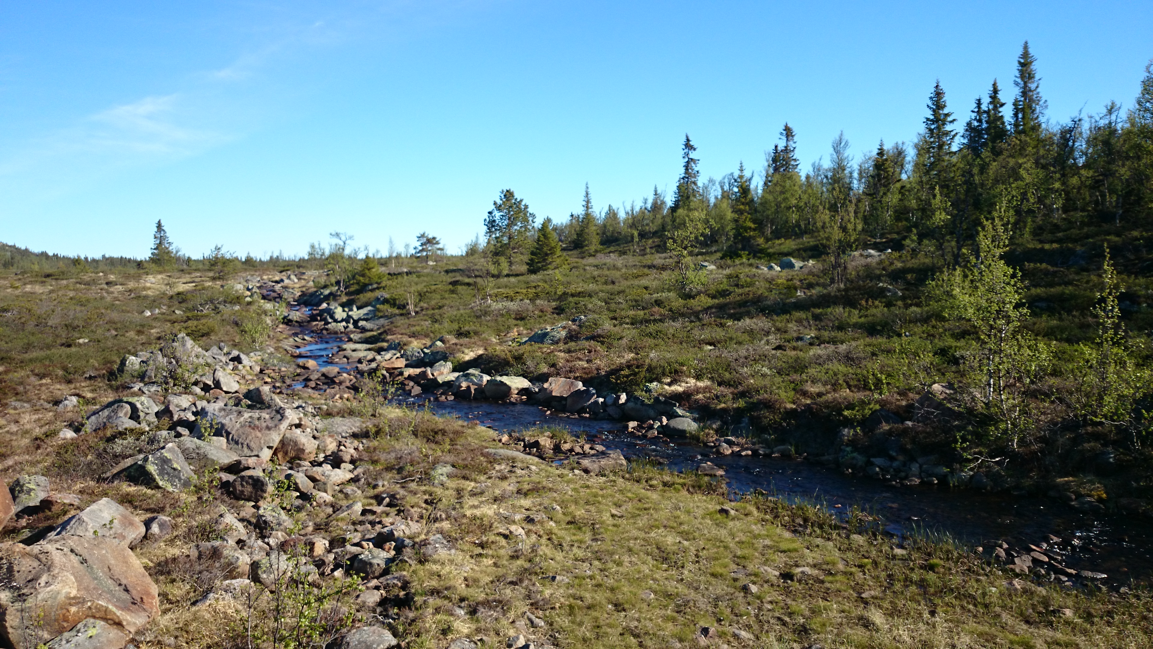 Langtjørnbekken